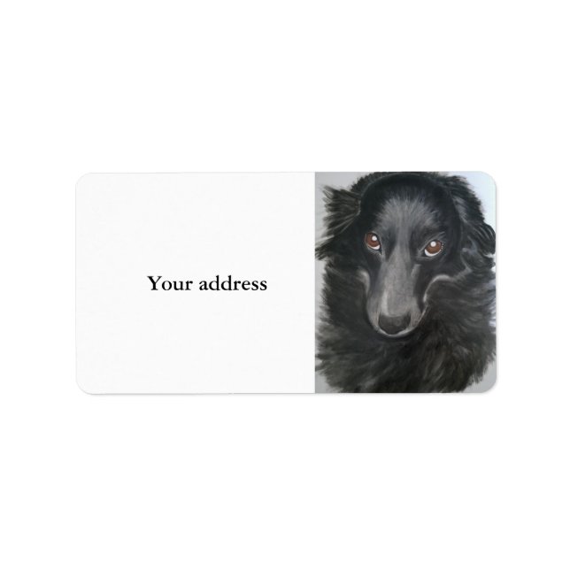 border collie dog face label (Front)