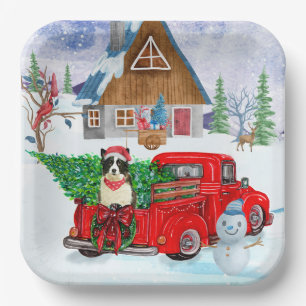 Border Collie dog In Christmas Delivery Truck Snow Paper Plate