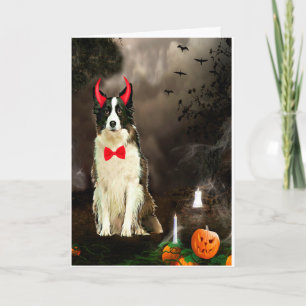 Border Collie Dog in Halloween Costume  Card