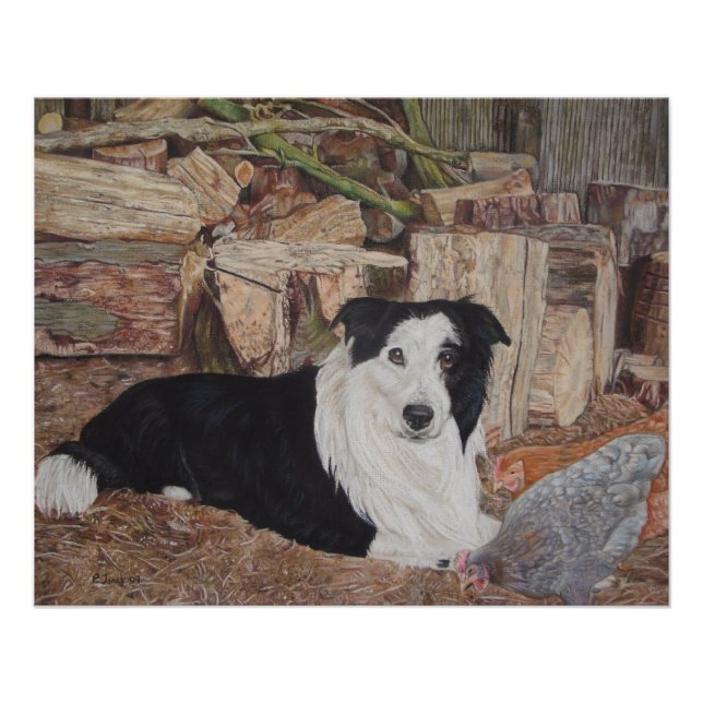 border collie dog in log shed with chickens art poster (Front)