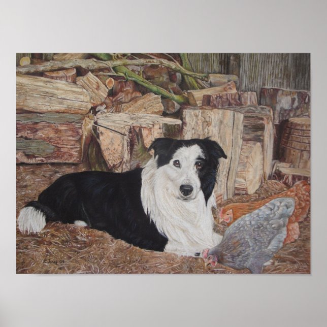 border collie dog in log shed with chickens poster (Front)