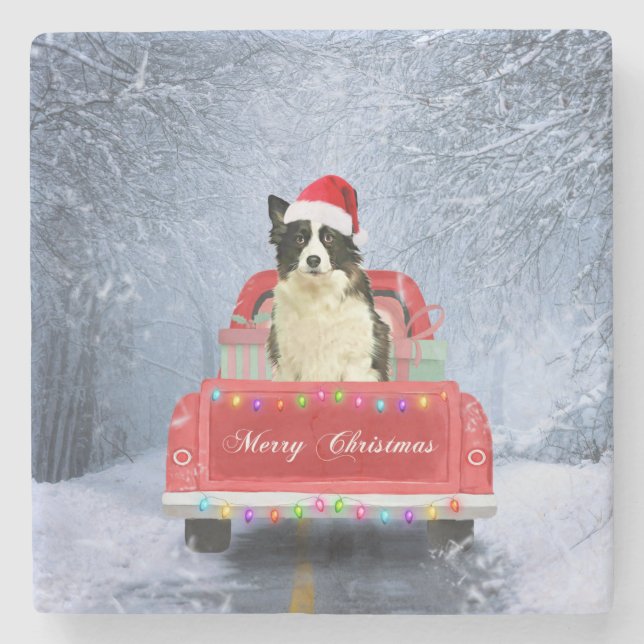 Border Collie Dog in Snow sitting in Christmas   Stone Coaster (Front)