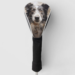 Border Collie dog in the wind 001 - Yacobsen Deros Golf Head Cover