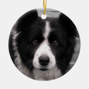 Border Collie Dog Ornament