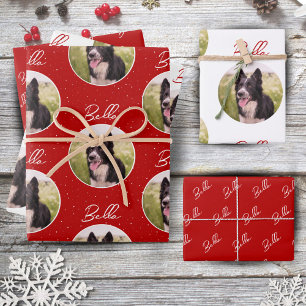 Border Collie Dog Photo Trendy Script Pet Name  Wrapping Paper Sheet