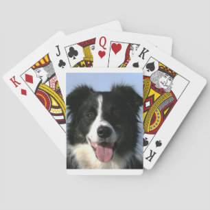 Border Collie Dog Playing Cards