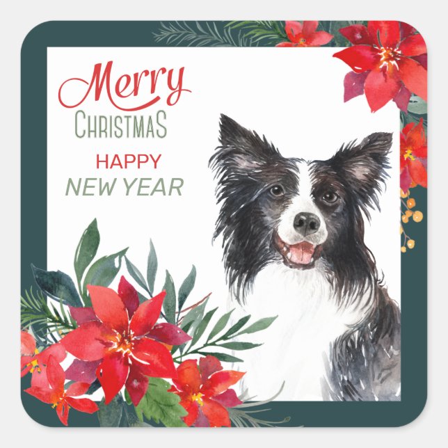 Border Collie Dog Poinsettia Bouquet Christmas Square Sticker (Front)