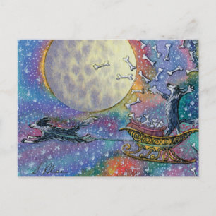 Border Collie dog throwing bones to the world Postcard