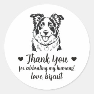 Border Collie Dog Wedding Favour Stickers