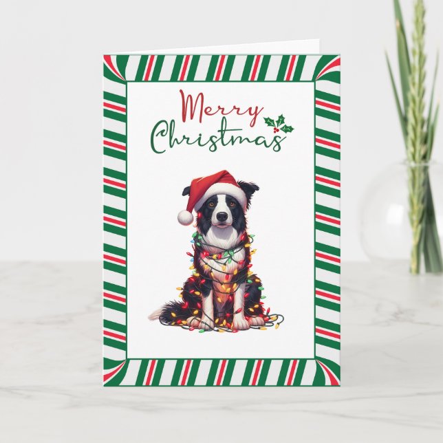 Border Collie Dog Wrapped In Christmas Light Card (Front)