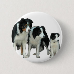 Border Collie Dogs 2 Inch Round Button
