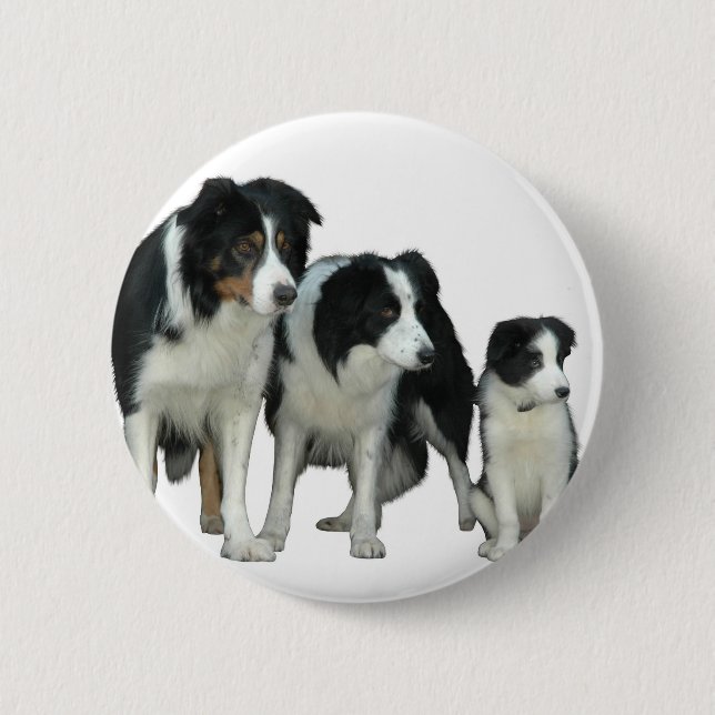 Border Collie Dogs 2 Inch Round Button (Front)