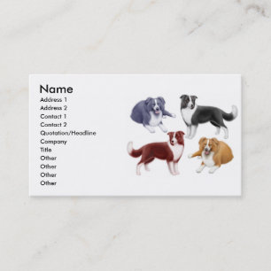 Border Collie Dogs Business Card
