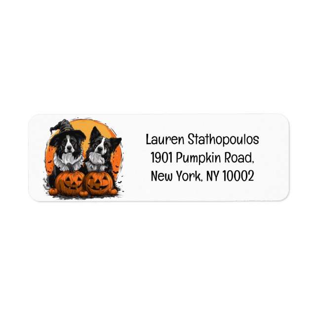 Border Collie Dogs Halloween Jack O Lanterns (Front)