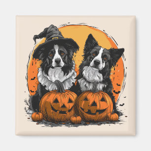 Border Collie Dogs Halloween Jack O Lanterns Magnet