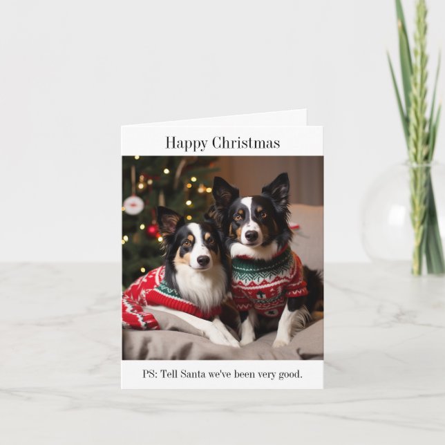 Border Collie Dogs in Christmas Sweaters Card (Front)