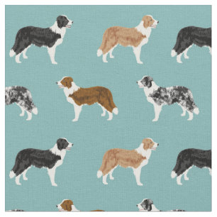 border collie dogs pet light blue fabric