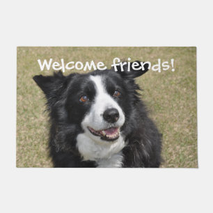 Border collie doormat