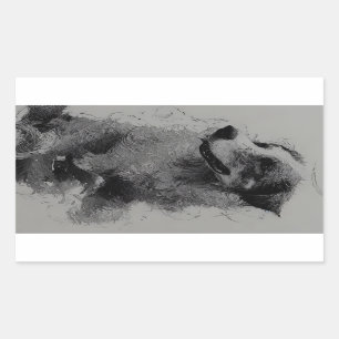 border collie drawing second sticker