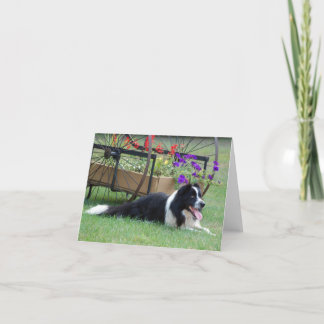 Border collie et carte de note de chariot de fleur