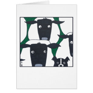 Border collie et carte vierge de moutons