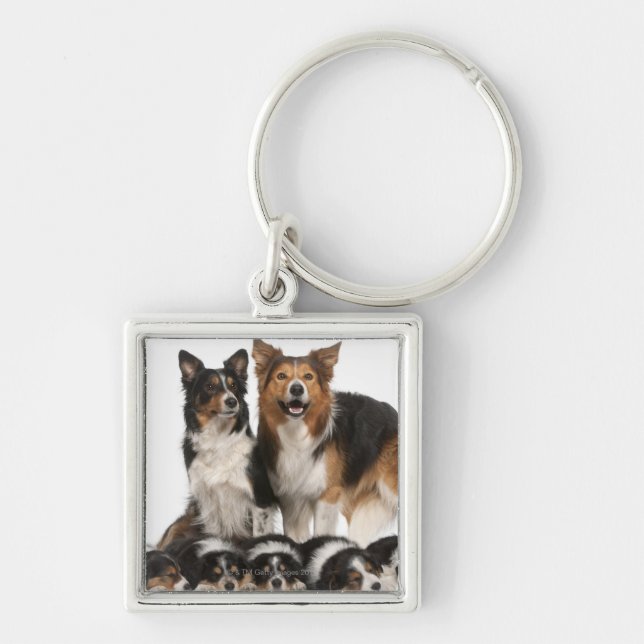 Border collie family keychain (Front)