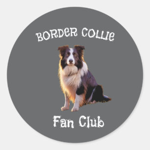 Border collie fan club  classic round sticker