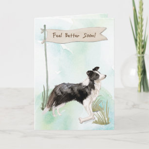 Border Collie Feel Better After Surgery with Dog Card