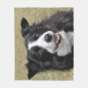 Border collie fleece blanket