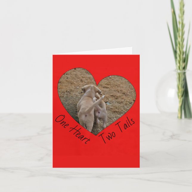 Border Collie Folded Greeting Card (Front)