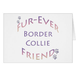 Border Collie Furever