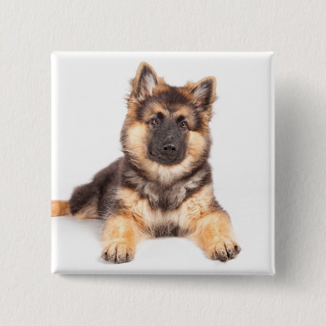 Border Collie German Shepherd Mix 2 Inch Square Button (Front)