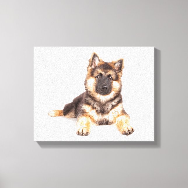 Border Collie German Shepherd Mix Canvas Print (Front)