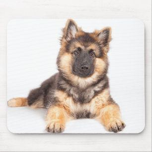 Border Collie German Shepherd Mix Mouse Pad