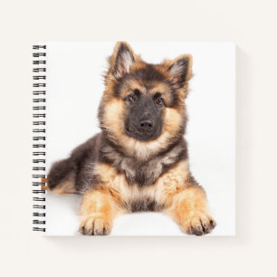 Border Collie German Shepherd Mix Notebook