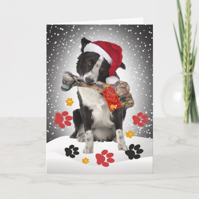 Border Collie Gift From Santa Cards (Front)