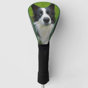 Border Collie Golf Head Cover