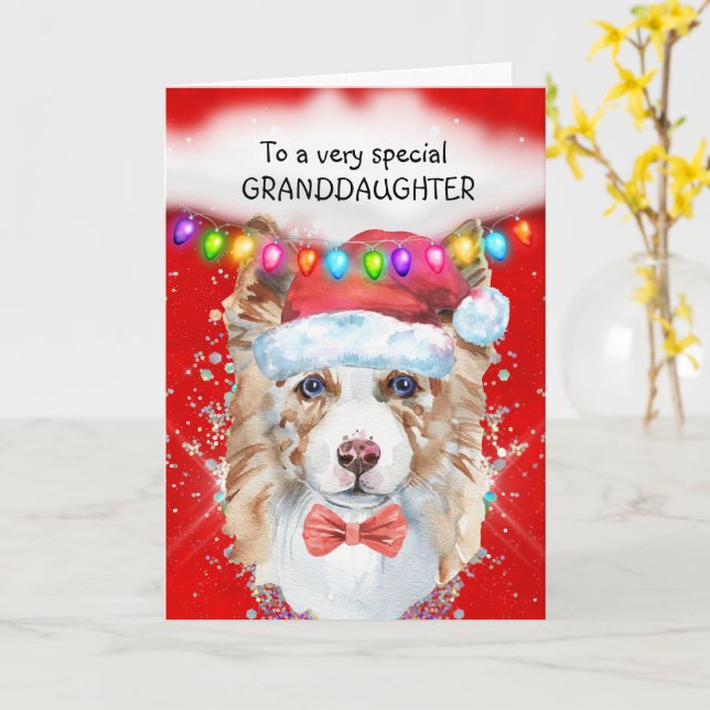Border Collie granddaughter Christmas wishes Santa Card (Yellow Flower)
