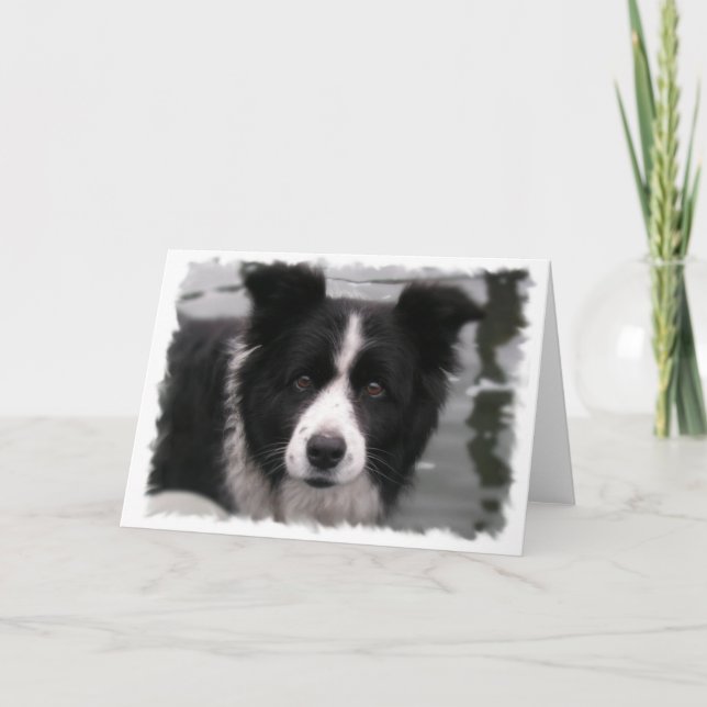 Border Collie Greeting Card (Front)