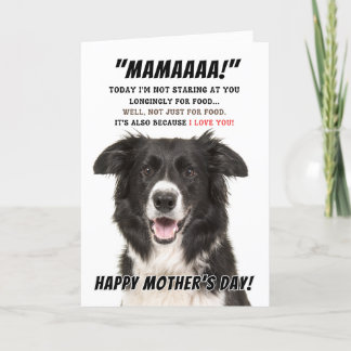 Border Collie Greeting card