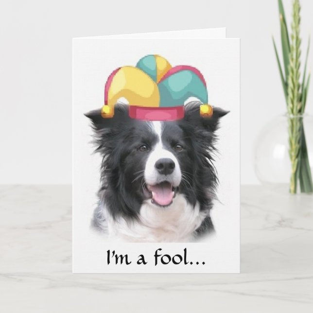 Border Collie Greeting Card~April Fool's Day Card (Front)