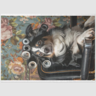 Border Collie Hair Cut Style Pampered Decoupage Tissue Paper