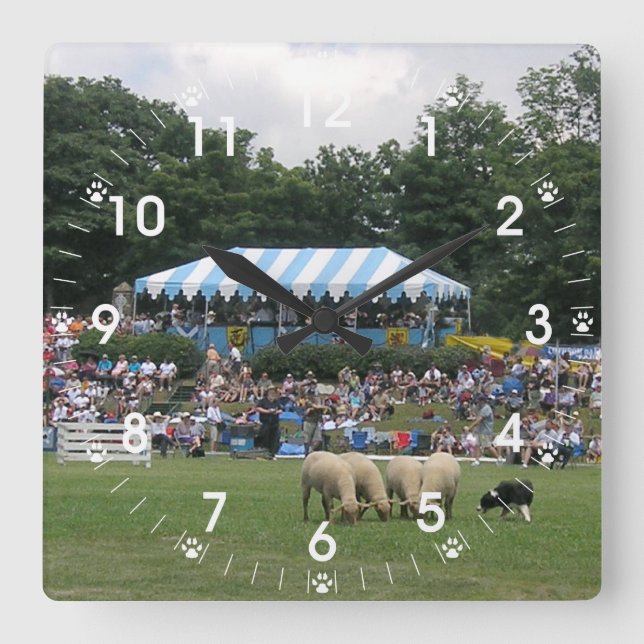 Border Collie Head Study Square Wall Clock (Front)