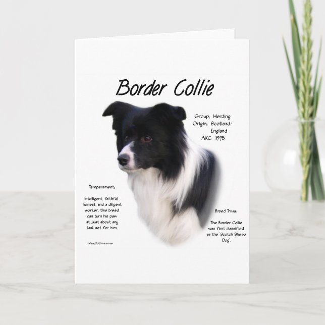 Border Collie History Design Holiday Card (Front)