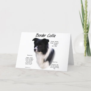 Border Collie History Design Holiday Card
