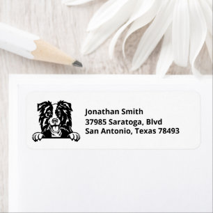 BORDER COLLIE   Image on Return Address