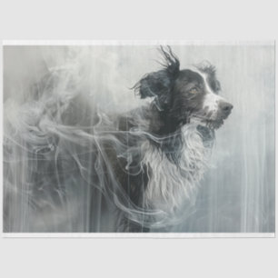 Border Collie in a Cloud of Smoke Decoupage Tissue Paper