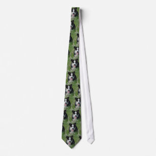 Border Collie in Dandelions Tie