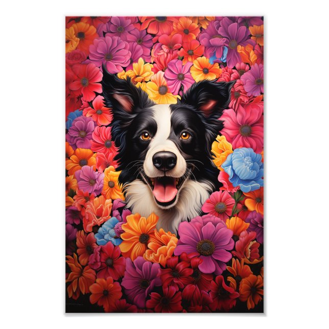 Border Collie in flowers Photo Print (Front)