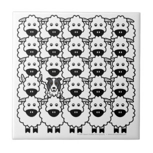 Border Collie in the Sheep Tile
